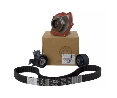 PSA - 1613561780 EKSANTRİK SETİ + DEVİRDAİM